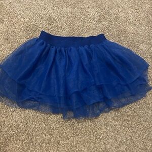 Elegant Blue Tulle Skirt